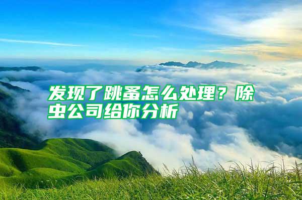 发现了跳蚤怎么处理？除虫公司给你分析