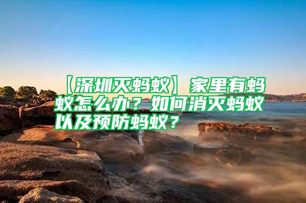 【深圳灭蚂蚁】家里有蚂蚁怎么办？如何消灭蚂蚁以及预防蚂蚁？