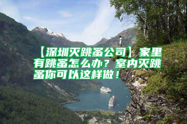 【深圳灭跳蚤公司】家里有跳蚤怎么办？室内灭跳蚤你可以这样做！