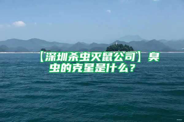 【深圳杀虫灭鼠公司】臭虫的克星是什么？