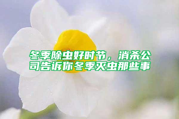 冬季除虫好时节，消杀公司告诉你冬季灭虫那些事