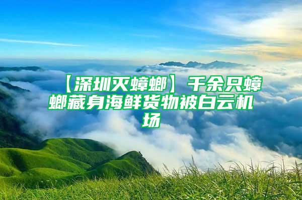 【深圳灭蟑螂】千余只蟑螂藏身海鲜货物被白云机场