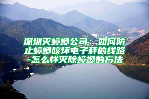 深圳灭蟑螂公司：如何防止蟑螂咬坏电子秤的线路-怎么样灭除蟑螂的方法