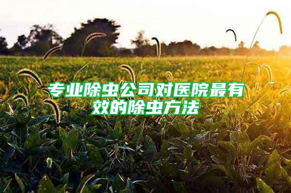 专业除虫公司对医院最有效的除虫方法