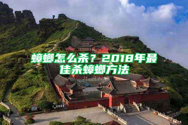 蟑螂怎么杀？2018年最佳杀蟑螂方法