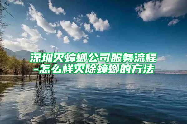 深圳灭蟑螂公司服务流程-怎么样灭除蟑螂的方法