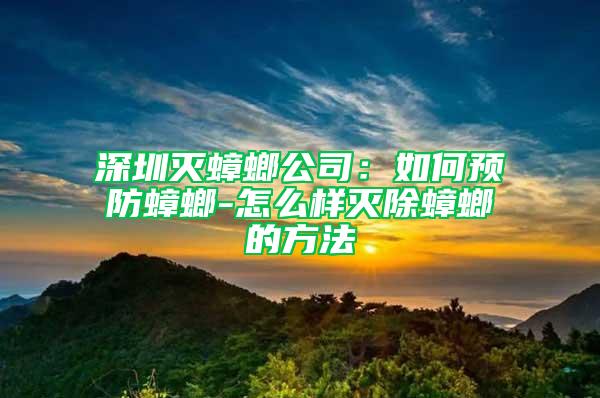 深圳灭蟑螂公司：如何预防蟑螂-怎么样灭除蟑螂的方法