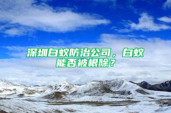 深圳白蚁防治公司，白蚁能否被根除？