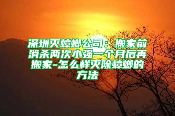 深圳灭蟑螂公司：搬家前消杀两次小强一个月后再搬家-怎么样灭除蟑螂的方法