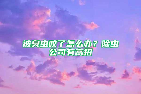 被臭虫咬了怎么办？除虫公司有高招