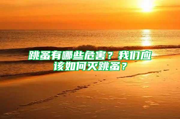 跳蚤有哪些危害？我们应该如何灭跳蚤？