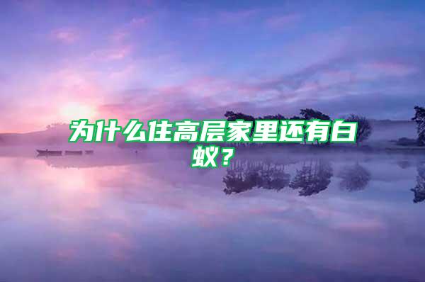 为什么住高层家里还有白蚁？