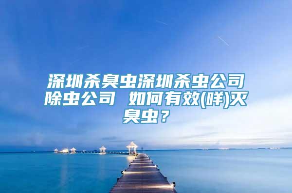 深圳杀臭虫深圳杀虫公司除虫公司 如何有效(咩)灭臭虫？