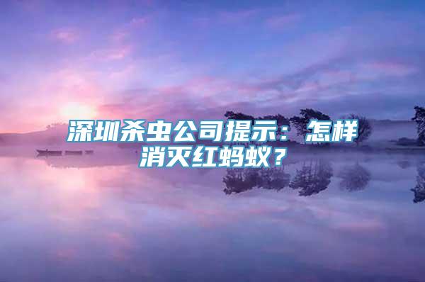 深圳杀虫公司提示：怎样消灭红蚂蚁？