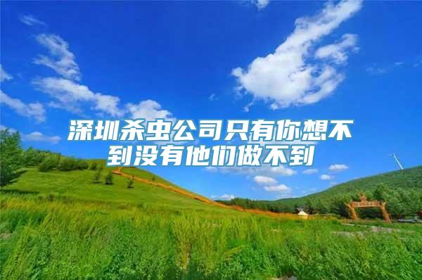 深圳杀虫公司只有你想不到没有他们做不到