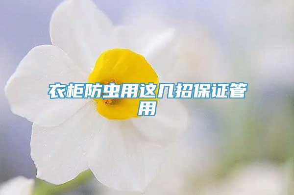 衣柜防虫用这几招保证管用