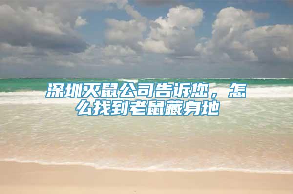 深圳灭鼠公司告诉您，怎么找到老鼠藏身地