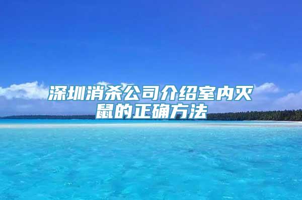 深圳消杀公司介绍室内灭鼠的正确方法