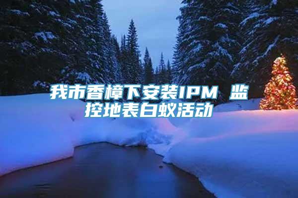 我市香樟下安装IPM 监控地表白蚁活动