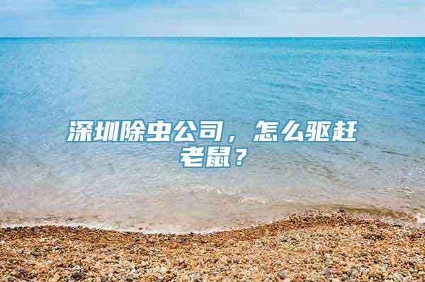 深圳除虫公司，怎么驱赶老鼠？