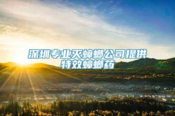 深圳专业灭蟑螂公司提供特效蟑螂药