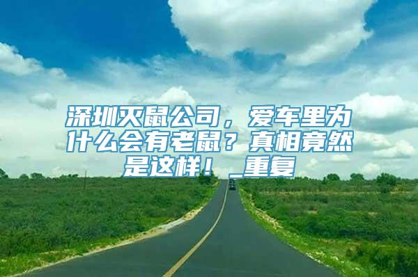 深圳灭鼠公司，爱车里为什么会有老鼠？真相竟然是这样！_重复