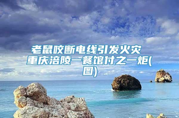 老鼠咬断电线引发火灾 重庆涪陵一餐馆付之一炬(图)