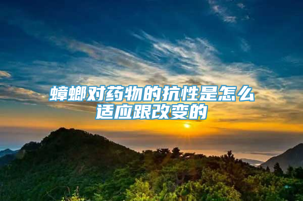 蟑螂对药物的抗性是怎么适应跟改变的