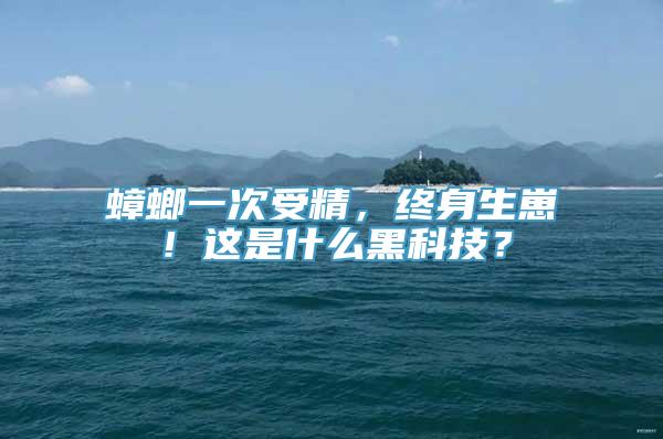 蟑螂一次受精，终身生崽！这是什么黑科技？