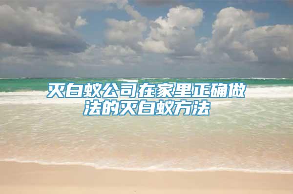 灭白蚁公司在家里正确做法的灭白蚁方法