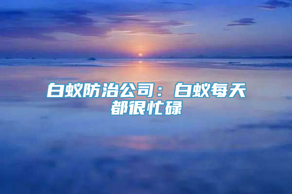 白蚁防治公司：白蚁每天都很忙碌