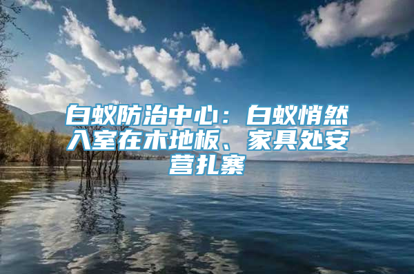 白蚁防治中心：白蚁悄然入室在木地板、家具处安营扎寨