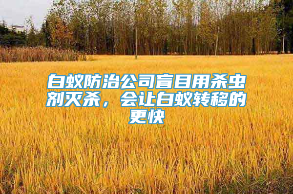 白蚁防治公司盲目用杀虫剂灭杀，会让白蚁转移的更快