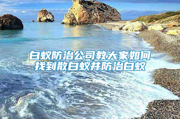 白蚁防治公司教大家如何找到散白蚁并防治白蚁