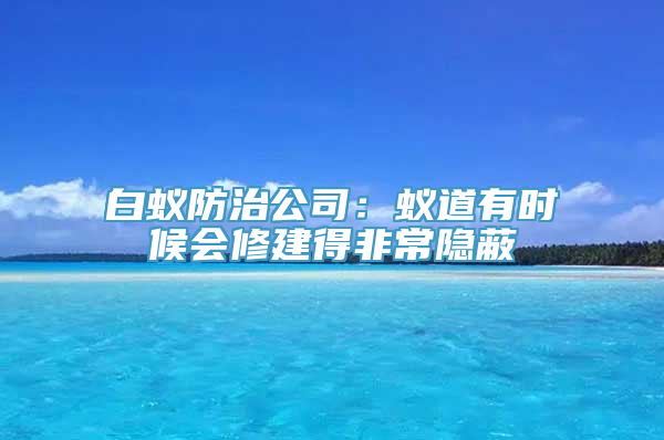 白蚁防治公司：蚁道有时候会修建得非常隐蔽