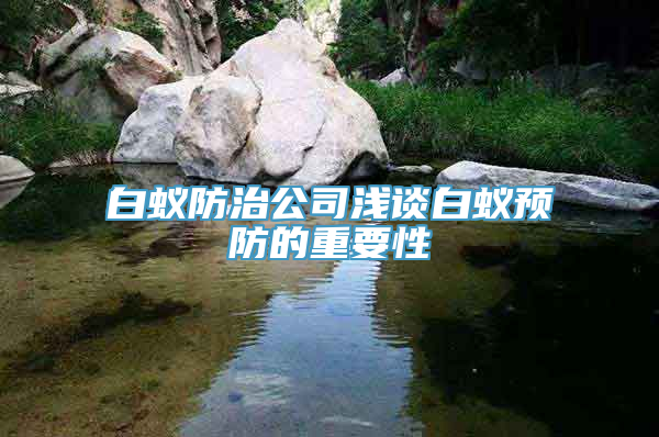 白蚁防治公司浅谈白蚁预防的重要性