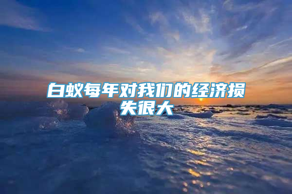 白蚁每年对我们的经济损失很大