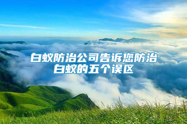 白蚁防治公司告诉您防治白蚁的五个误区