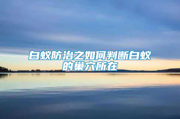 白蚁防治之如何判断白蚁的巢穴所在