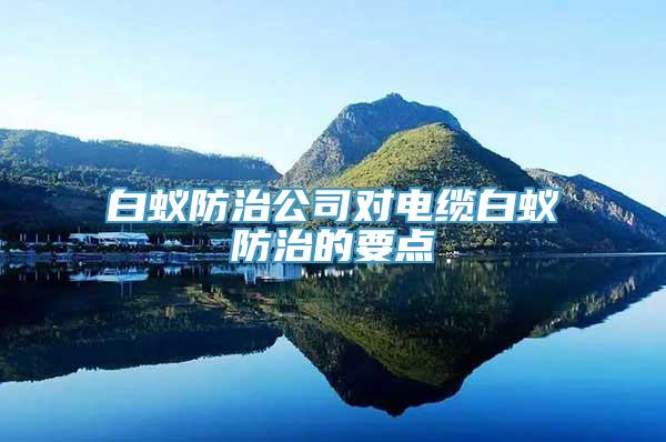 白蚁防治公司对电缆白蚁防治的要点