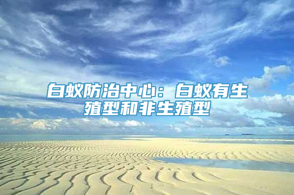 白蚁防治中心：白蚁有生殖型和非生殖型