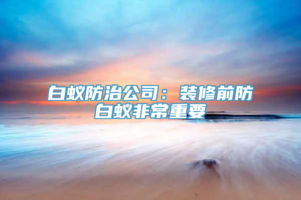 白蚁防治公司：装修前防白蚁非常重要