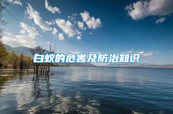 白蚁的危害及防治知识