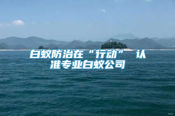 白蚁防治在“行动” 认准专业白蚁公司