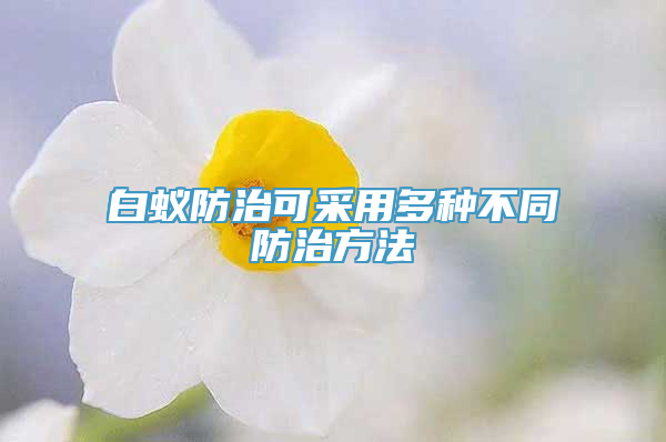 白蚁防治可采用多种不同防治方法