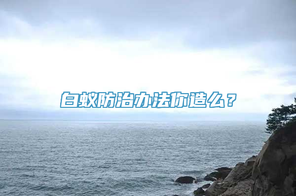 白蚁防治办法你造么？