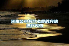 灭虫公司有什么样的方法进行灭虫