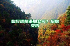 如何选择杀虫公司？给您支招