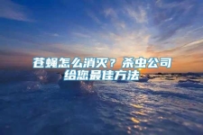 苍蝇怎么消灭？杀虫公司给您最佳方法