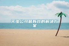 灭虫公司最有效的解决方案